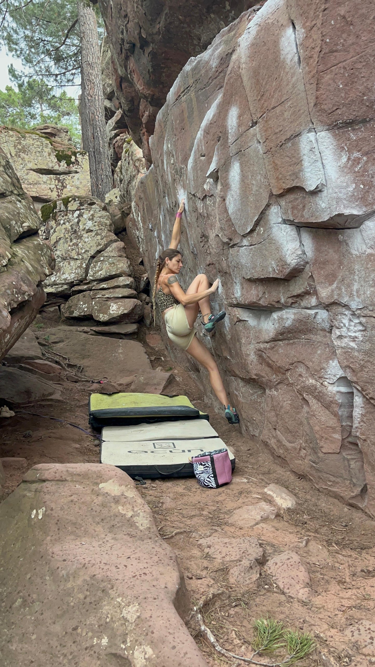 MAGNESIERA ESCALADA BLOC -TELA MESH ROSA I ZEBRA